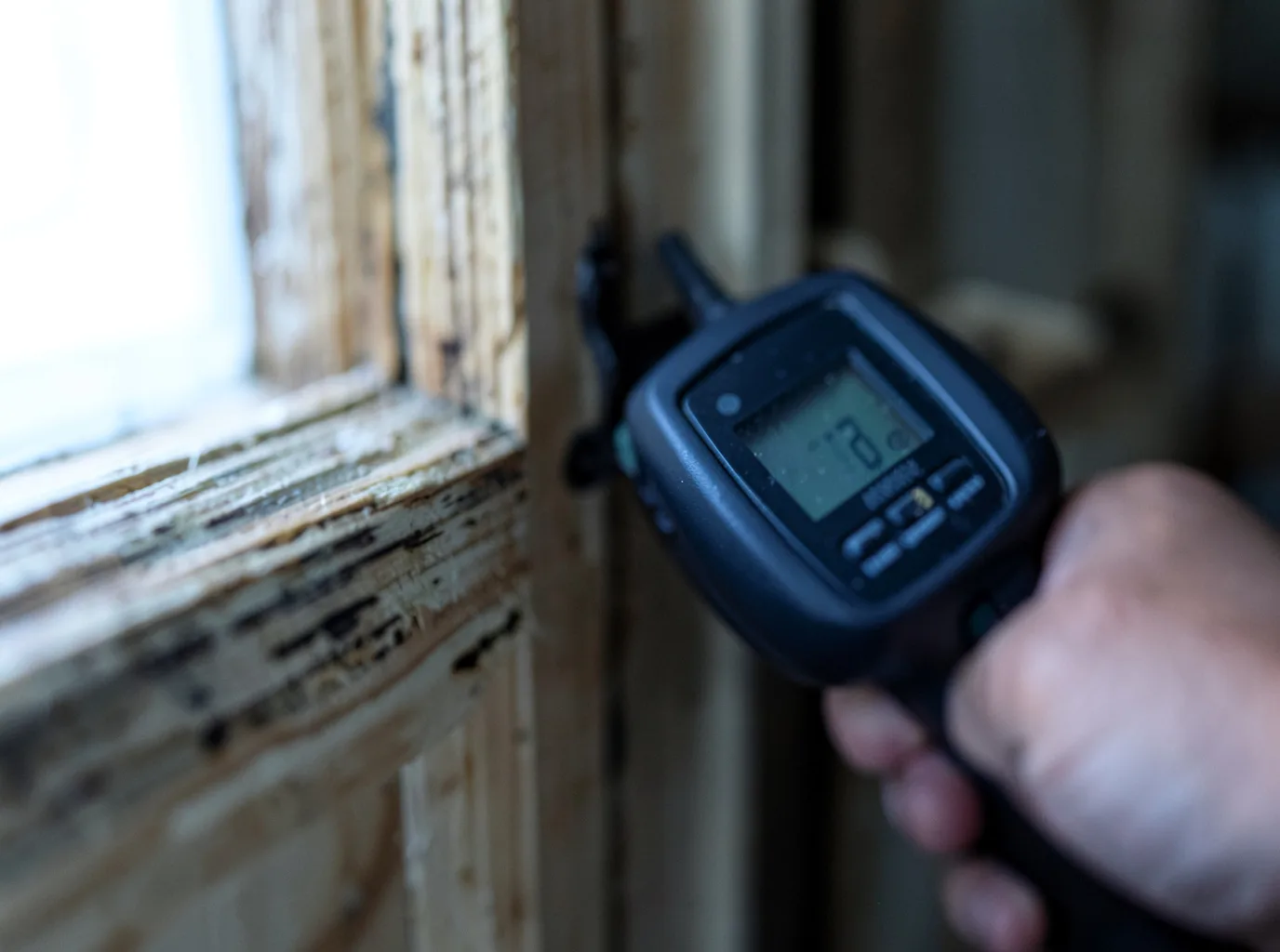 Commercial Water Damage Restoration in San Simeon, CA
